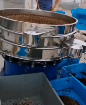 Application of mealworm sifter