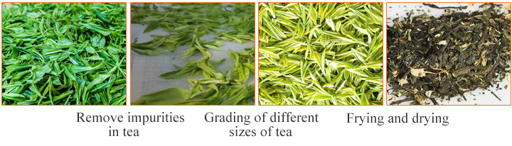 Introduction of tea leaf sieve machine